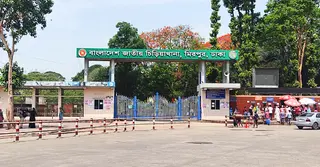 চিড়িয়াখানা থেকে বের হওয়া সিংহ খাঁচায় ফিরল